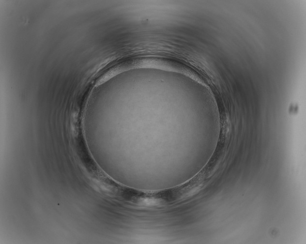 X0000091210360200708091352