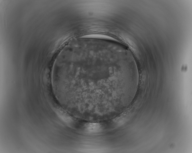 X0000091210361200708091352