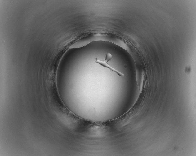 X0000091210364200708091352