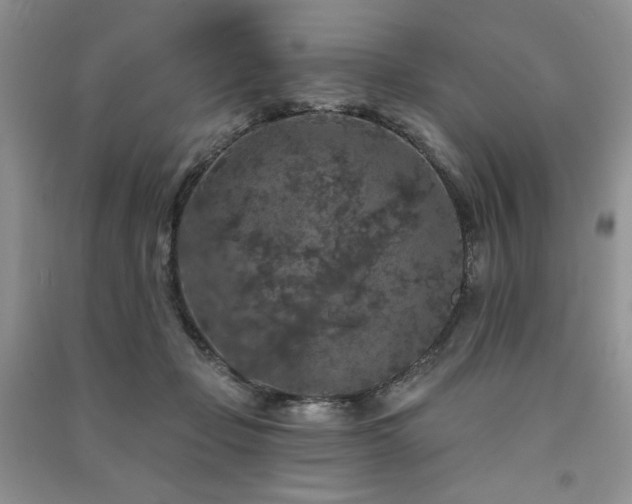 X0000091210365200708091352