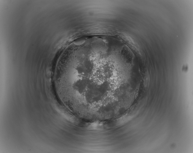 X0000091210366200708091352