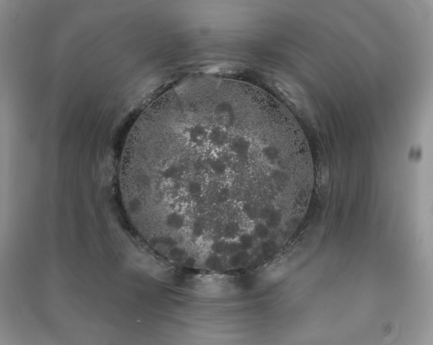 X0000091210367200708091352