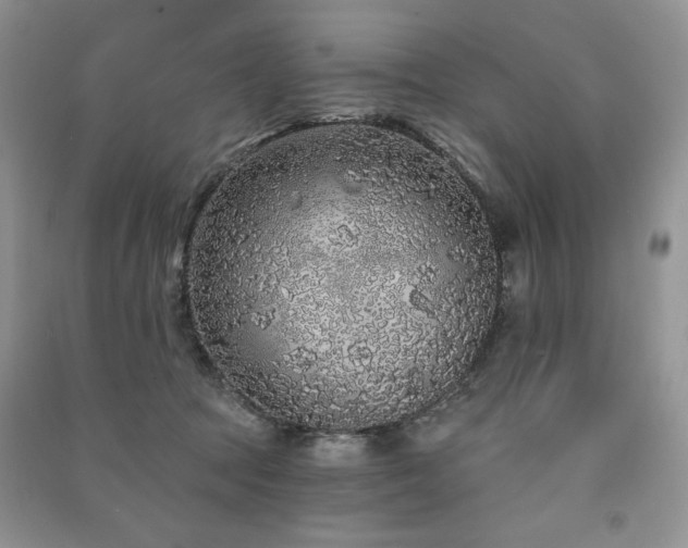 X0000091210369200708091352