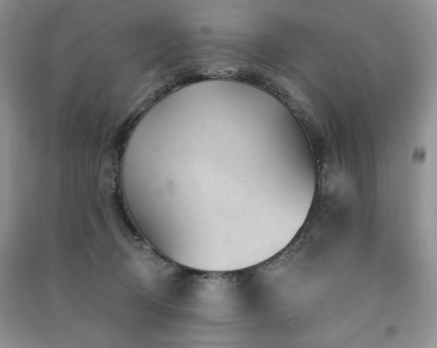 X0000091210370200708091352