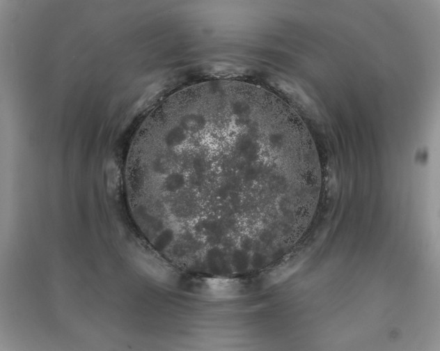 X0000091210371200708091352