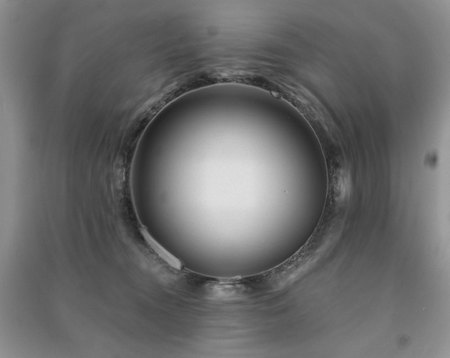 X0000091210372200708091352