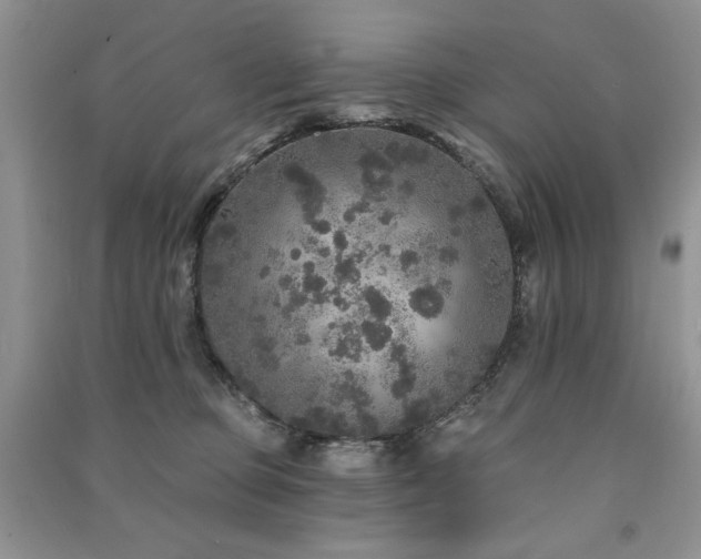 X0000091210373200708091352