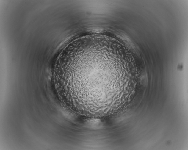 X0000091210374200708091352