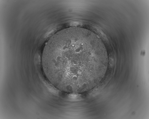 X0000091210375200708091352