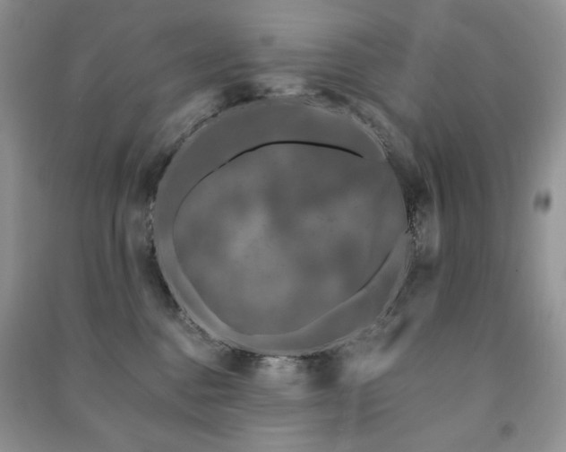 X0000091210376200708091352