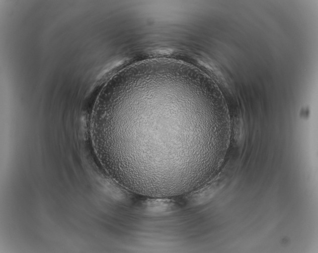 X0000091210378200708091352