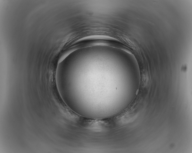 X0000091210379200708091352