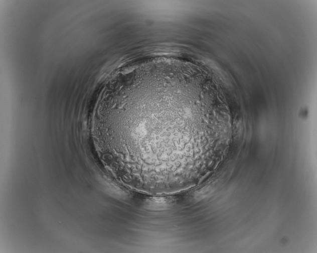 X0000091210381200708091352