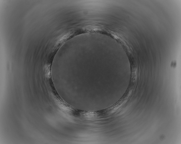 X0000091210383200708091352
