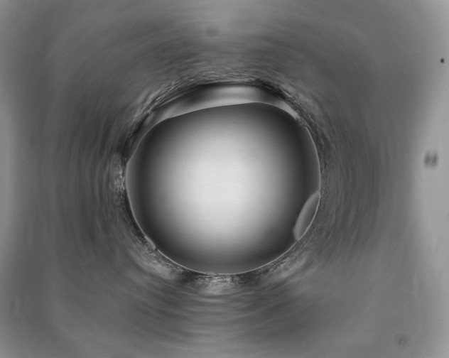 X0000091210384200708091352