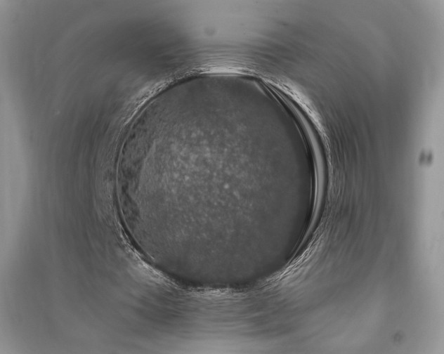 X0000091210385200708091351