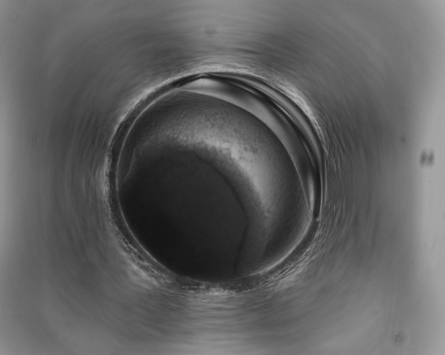 X0000091210387200708091351
