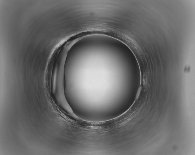 X0000091210388200708091351