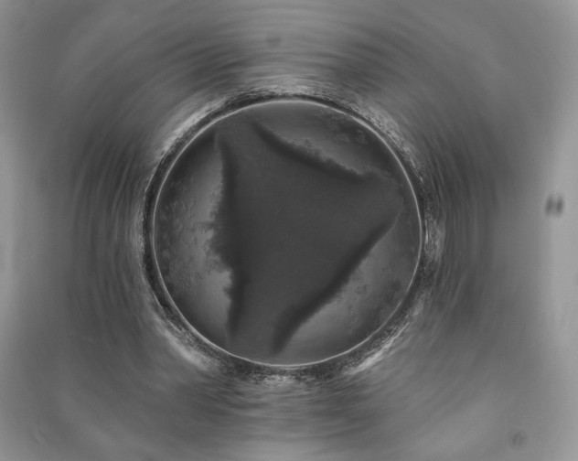 X0000091210390200708091351