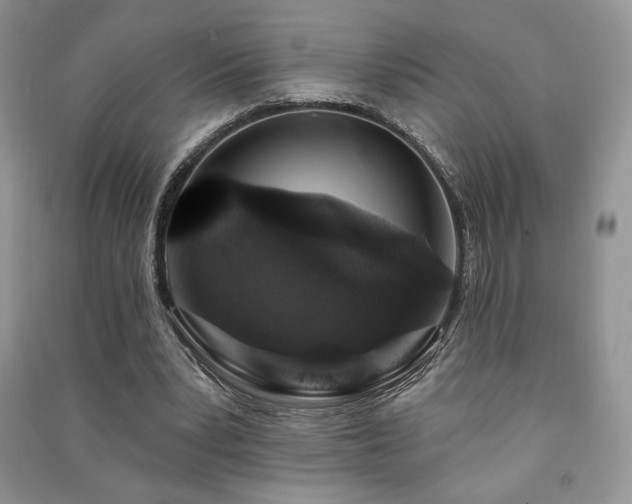X0000091210391200708091351