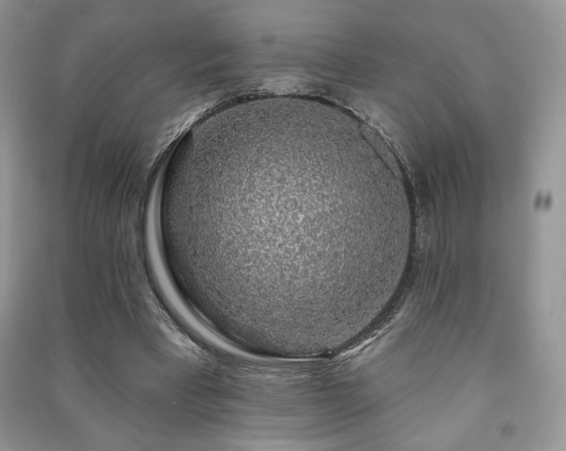 X0000091210393200708091351
