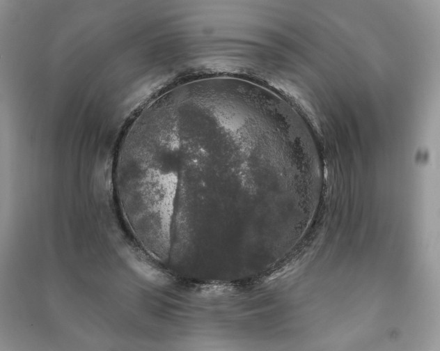 X0000091210398200708091351
