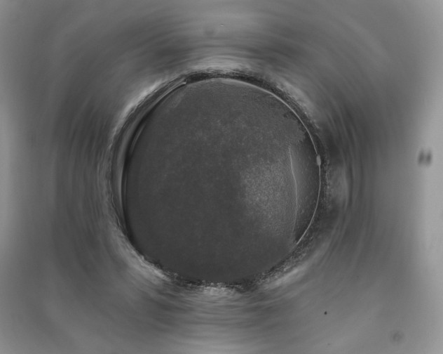 X0000091210399200708091351