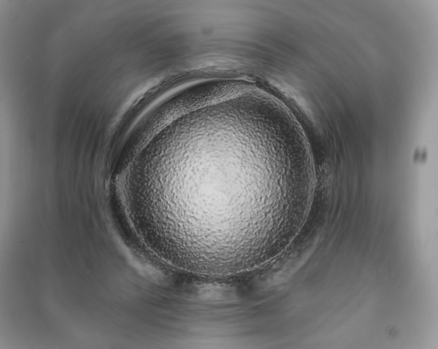X0000091210400200708091351