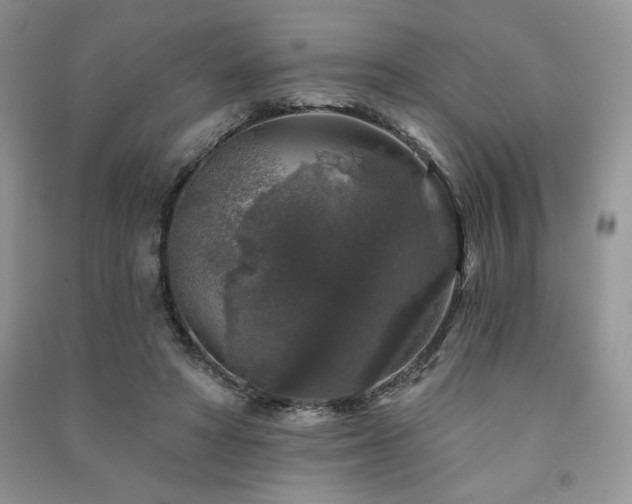 X0000091210402200708091351