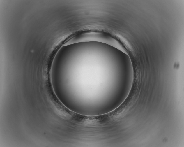 X0000091210403200708091351