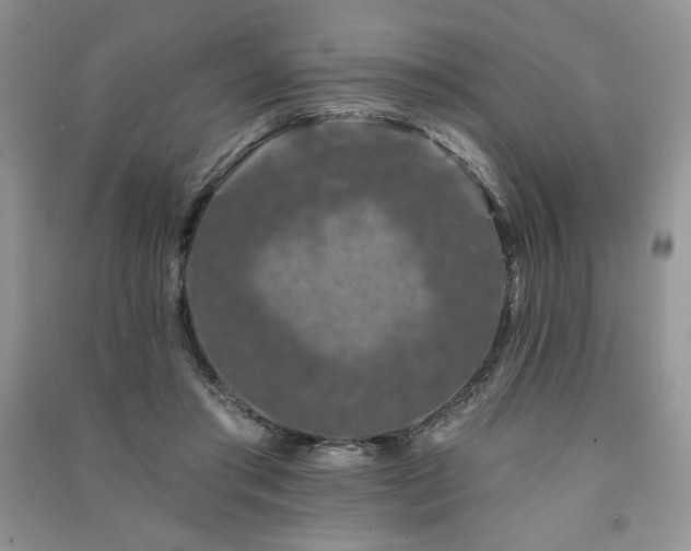 X0000091210405200708091351