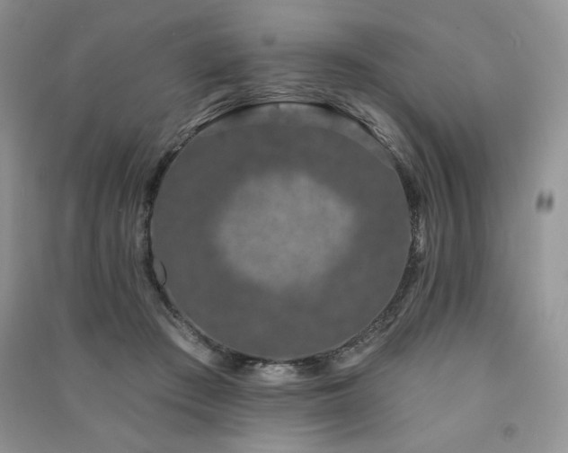 X0000091210409200708091351