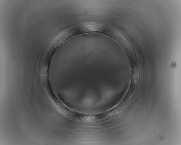 X0000091210410200708091351