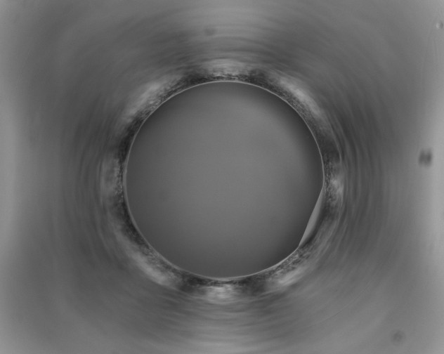 X0000091210411200708091351