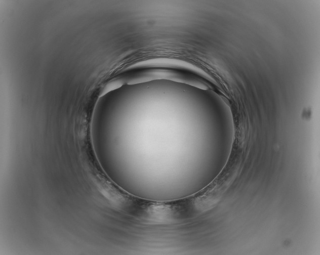 X0000091210413200708091351