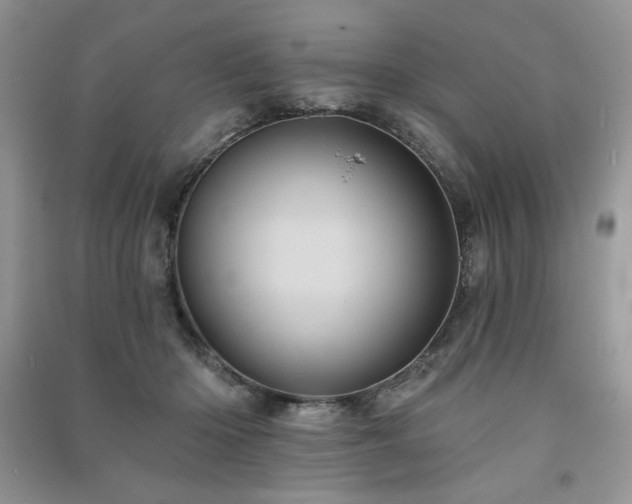 X0000091210414200708091351