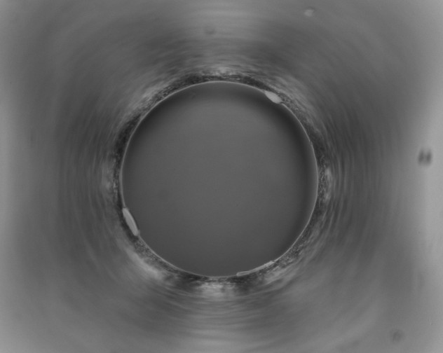 X0000091210415200708091351