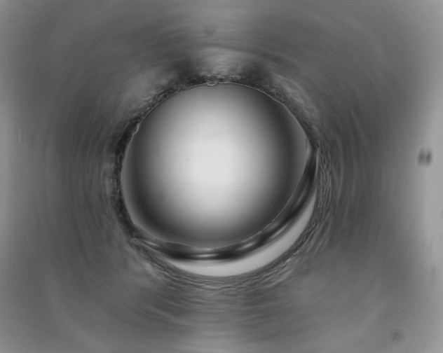 X0000091210416200708091351