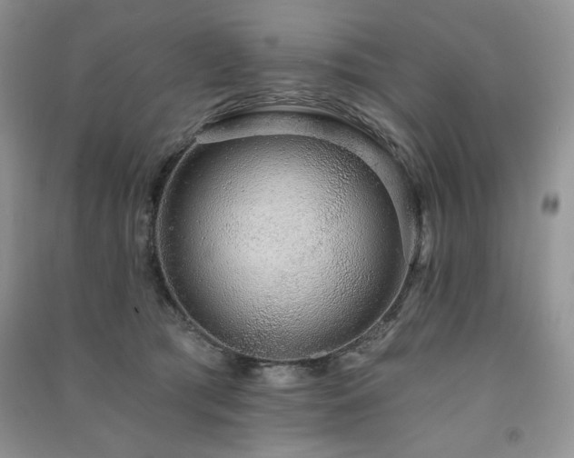 X0000091210417200708091351