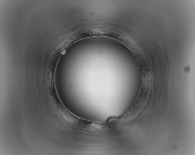 X0000091210418200708091351