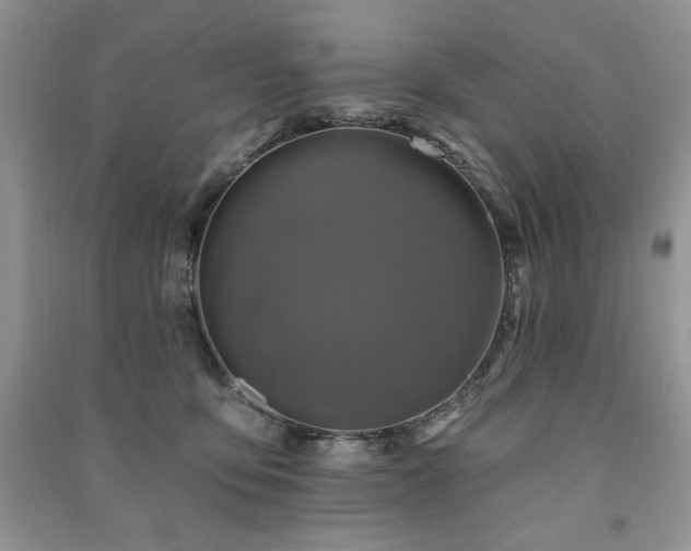X0000091210419200708091351