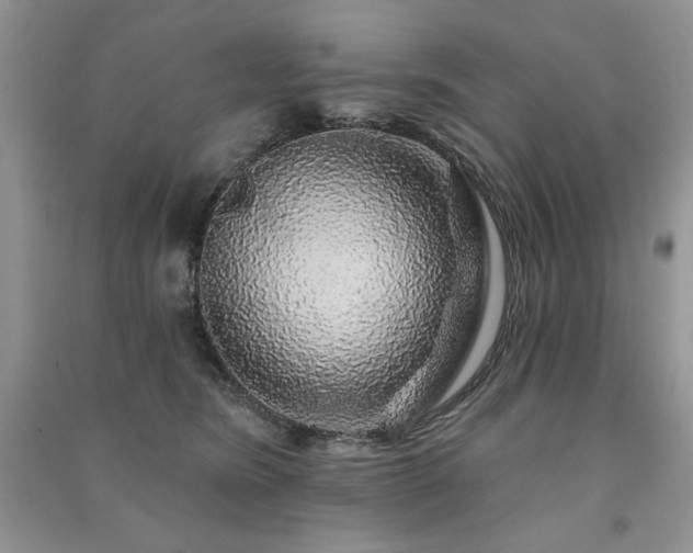 X0000091210420200708091351