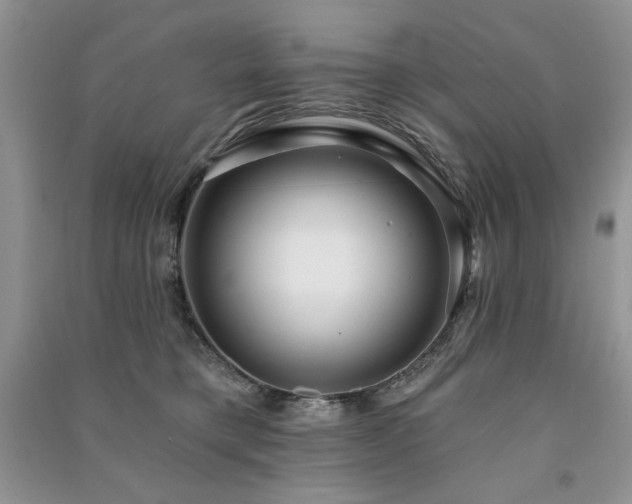 X0000091210421200708091351