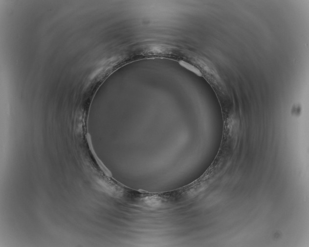 X0000091210423200708091351