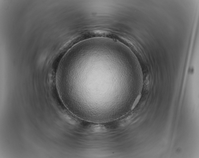 X0000091210424200708091351