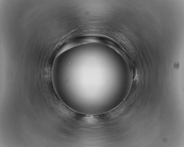 X0000091210425200708091351