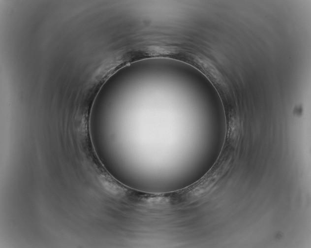 X0000091210426200708091351