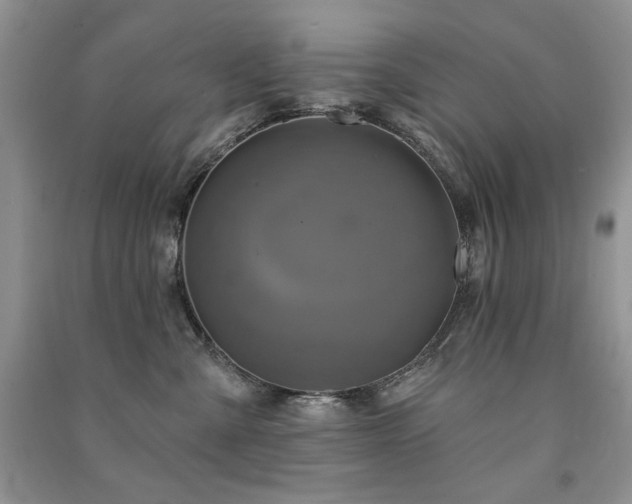 X0000091210427200708091351
