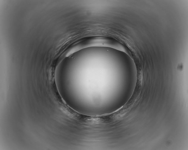 X0000091210428200708091351
