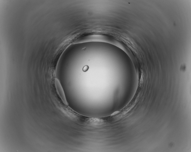X0000091210429200708091351